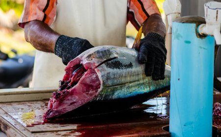 ބައެއްކަންކަމަށް ޢަމަލީ ސިފަ ނުގެނައުމަކީ ރަގަޅުކަމެއް