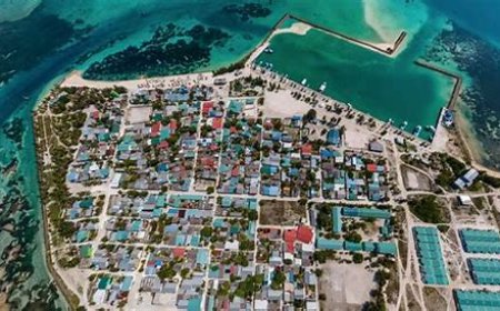 ތުޅާދޫ ކައުންސިލުން ތުޅާދޫގަ ބާއްވައި ޤައުމީ ދިދަ ނެގުމުގެ ރަސްމިއްޔާތަށް