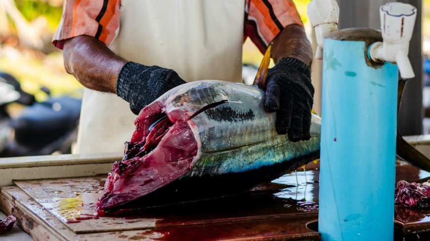 ބައެއްކަންކަމަށް ޢަމަލީ ސިފަ ނުގެނައުމަކީ ރަގަޅުކަމެއް