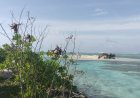 ތުޅާދޫ ގެ ބިން ސަތުވަންނަ ހެކްޓަރަށް ފައްސި ވަމުންދާއިރު ......