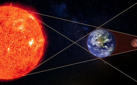 ހަނދު ކޭތައެއް ހިފަނީ