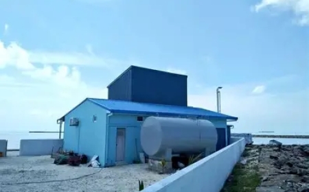 އިއްޔެ އައިސް ޕްލާންޓް މަރާމާތު ކޮށް ޚިދުމަތް ދޭން ފަށައިފި