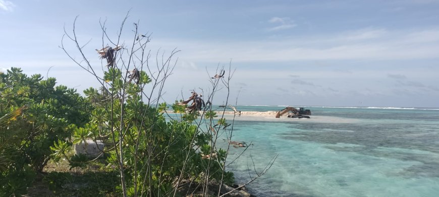 ތުޅާދޫ ގެ ބިން ސަތުވަންނަ ހެކްޓަރަށް ފައްސި ވަމުންދާއިރު ......