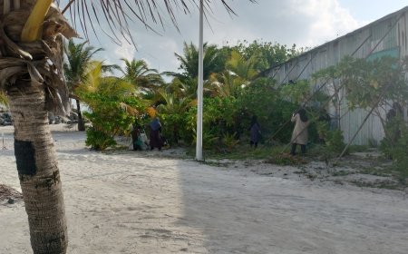 ތުޅާދޫ ގެ އިޖްތިމމާޢީ ސަރަޙައްދު ސާފުކުރައްވާ މުޥައްޒިފުންނަށް ހެޔޮބަދަލެއް އަންނާނެ - ރައީސް